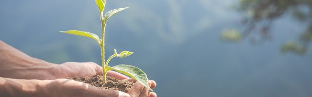 Concept of environmental conservation in the garden for children.