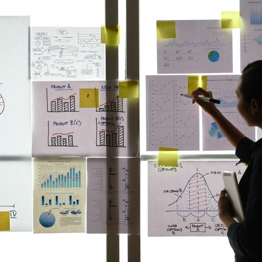 Businesswoman working